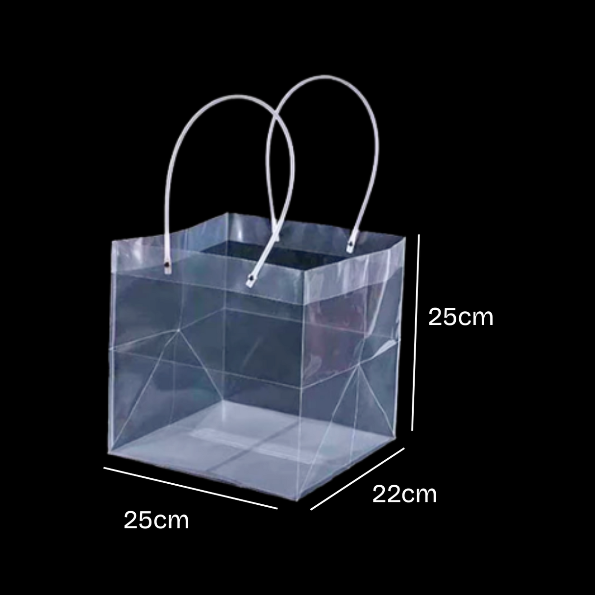 Transparent Hand Bag Square