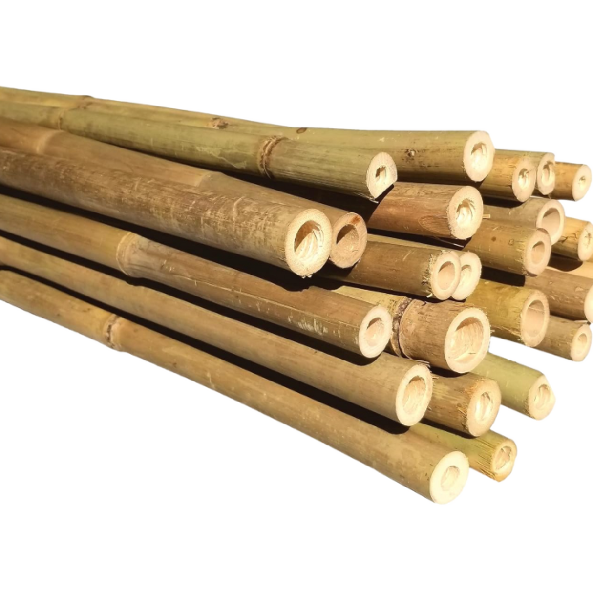 Bamboo Pole