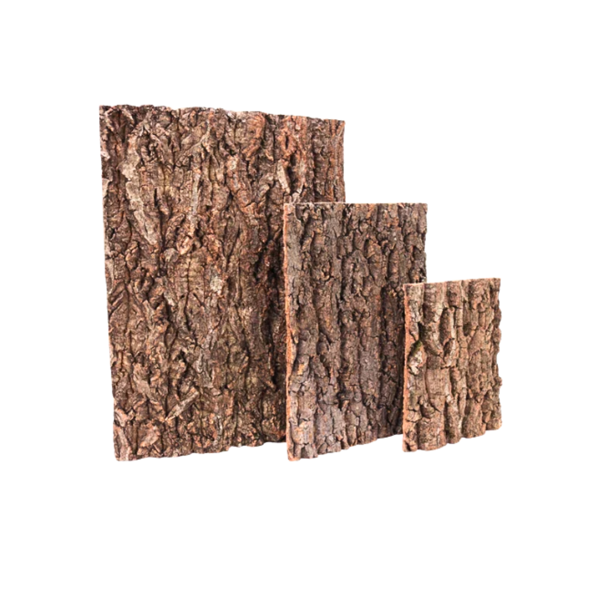 Champagne Tree Bark Driftwood