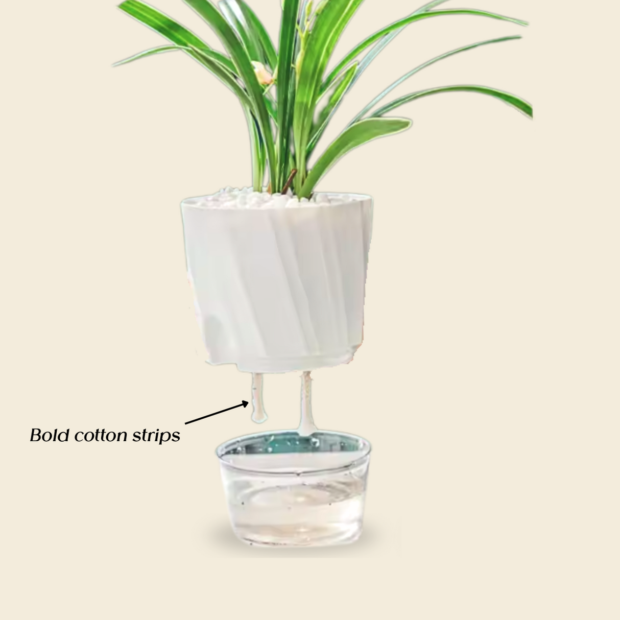 Flower Pot Self-watering