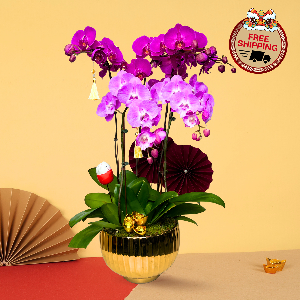 Blossom Harmony (5 Single Stalks) - Orchid Phalaenopsis