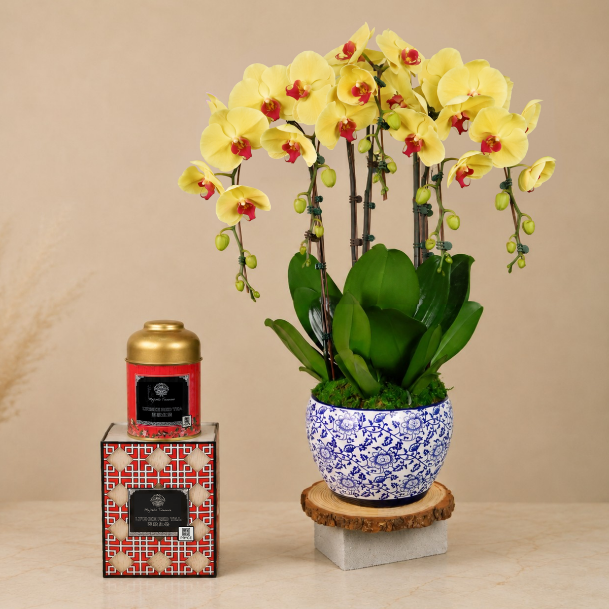 Velvet Garden (3 Single Stalk) - Orchid Gift Set