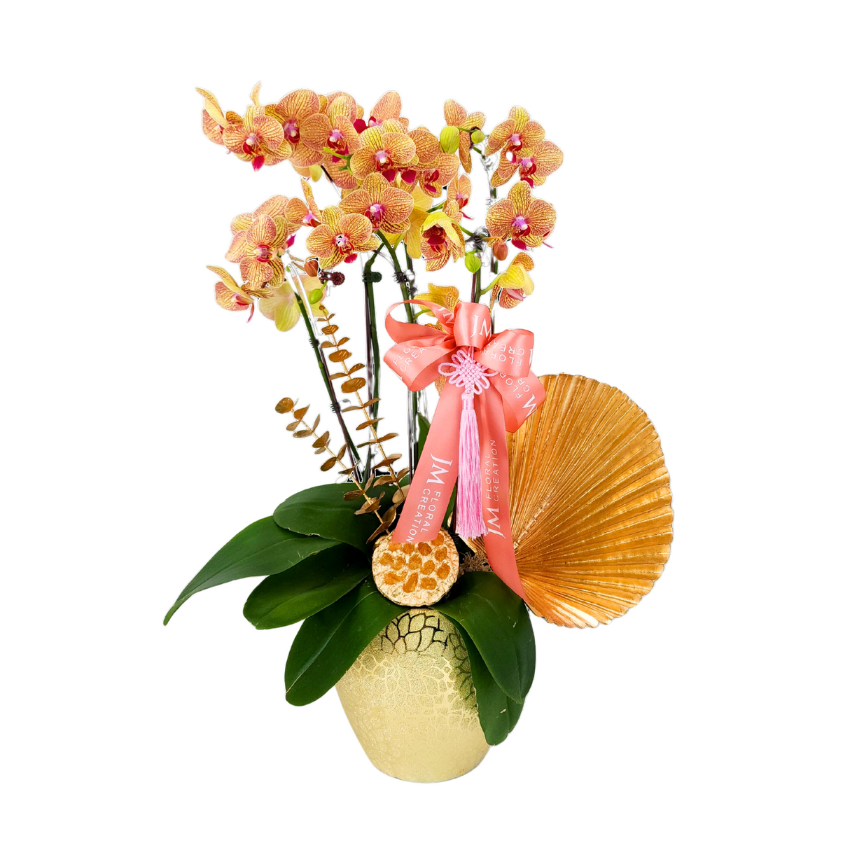 Prosperity Cheers (3 Double Stalks) - Orchid Phalaenopsis