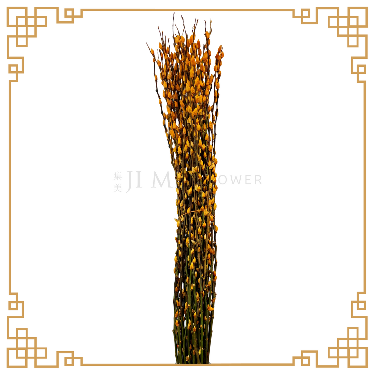 Pussy Willow Color 1.2m (银柳)