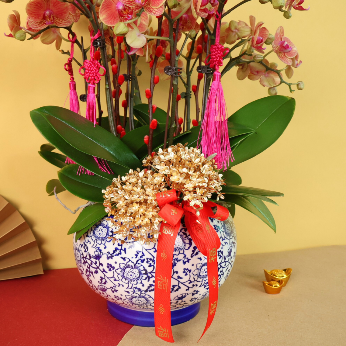 Refined Prosperity (8 Stalks) - Orchid Phalaenopsis