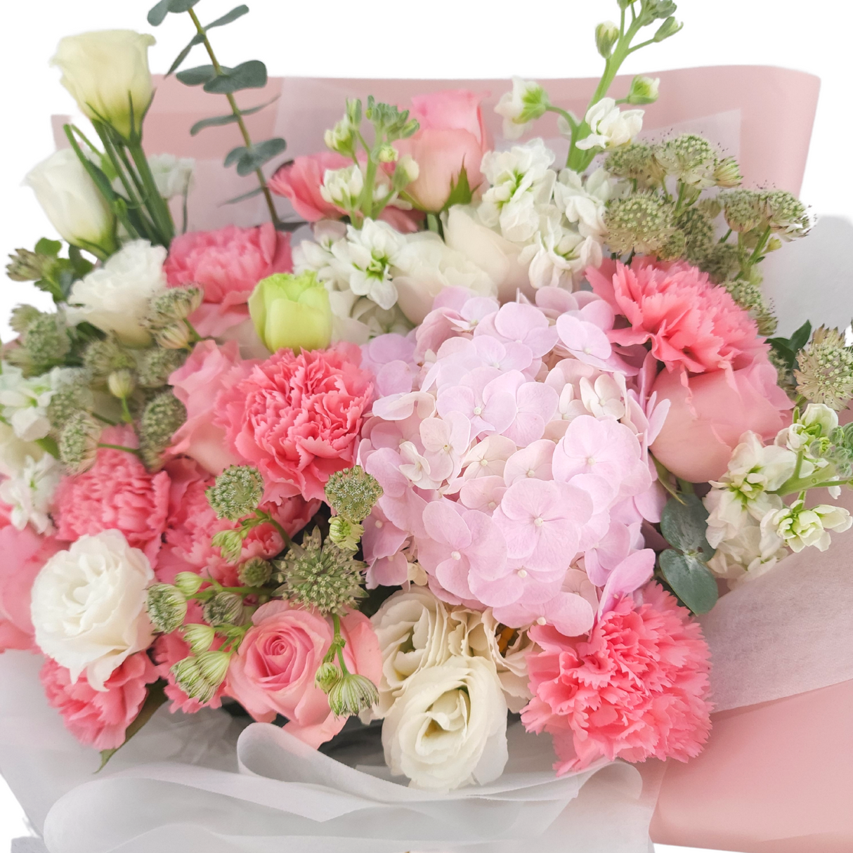 roseline Hydrangeas, Carnations and Roses Birthday Flower Bouquet Singapore