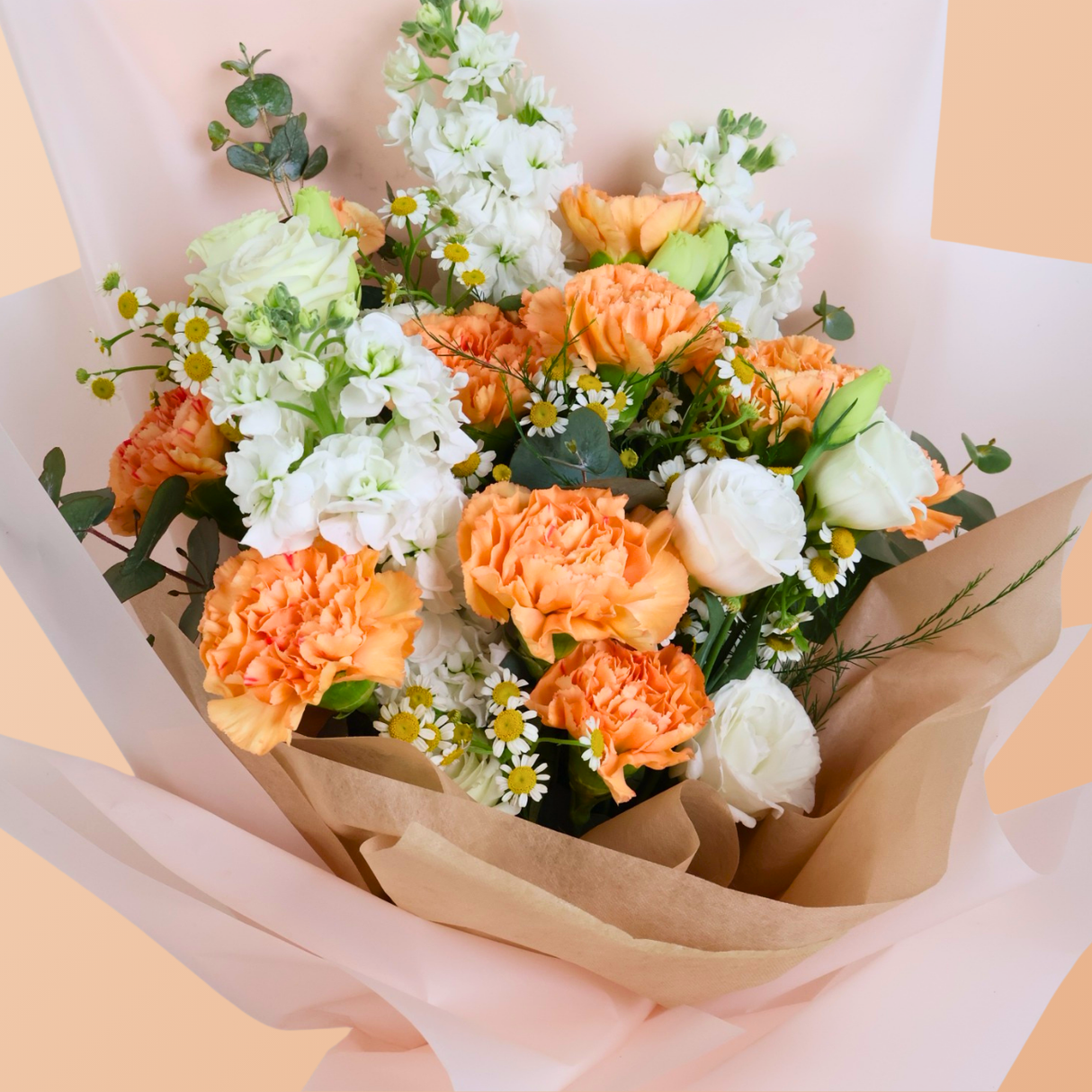 Soft Symphony (Carnations, Mattiola)