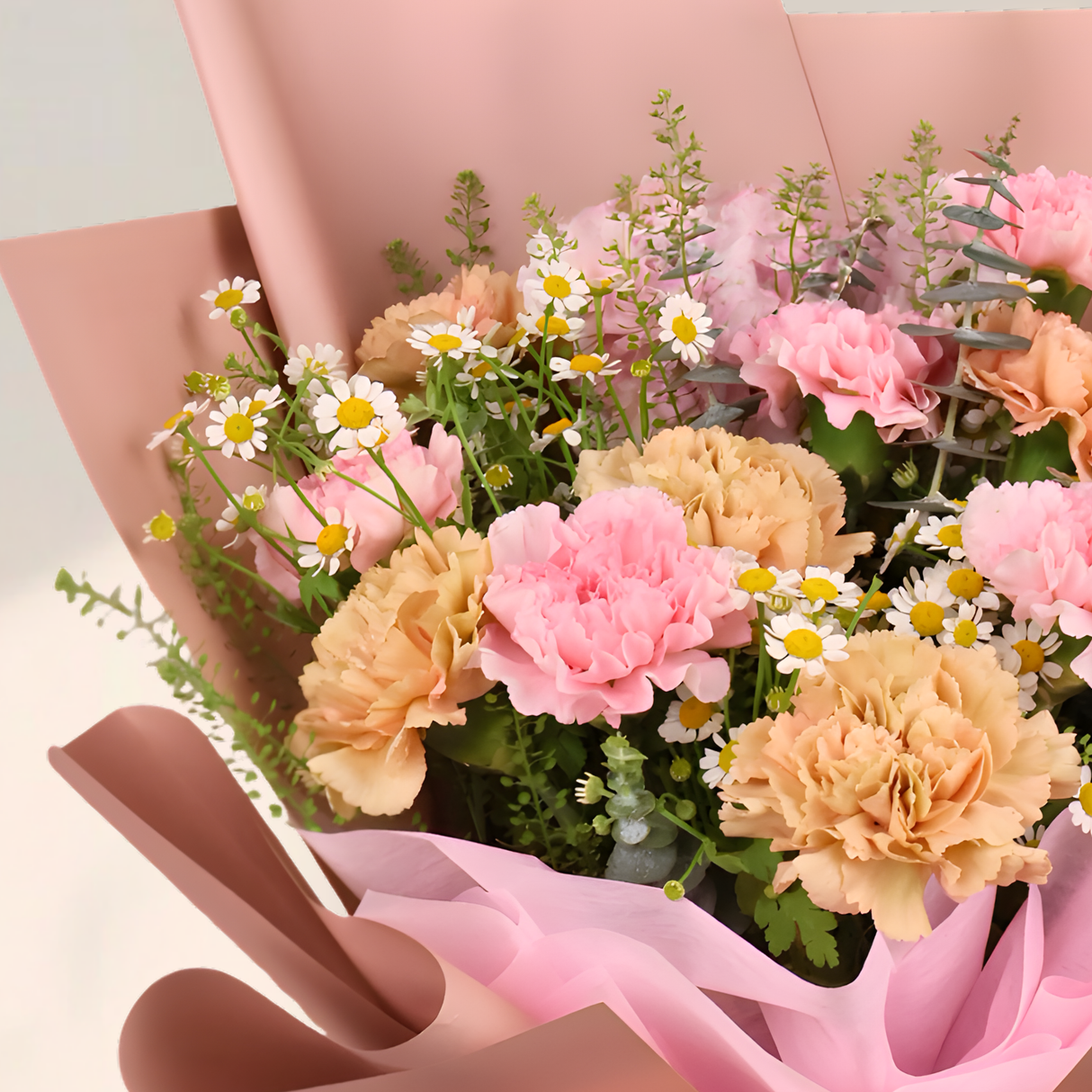 Soft Shelter (12 Carnations) - Flower Bouquet