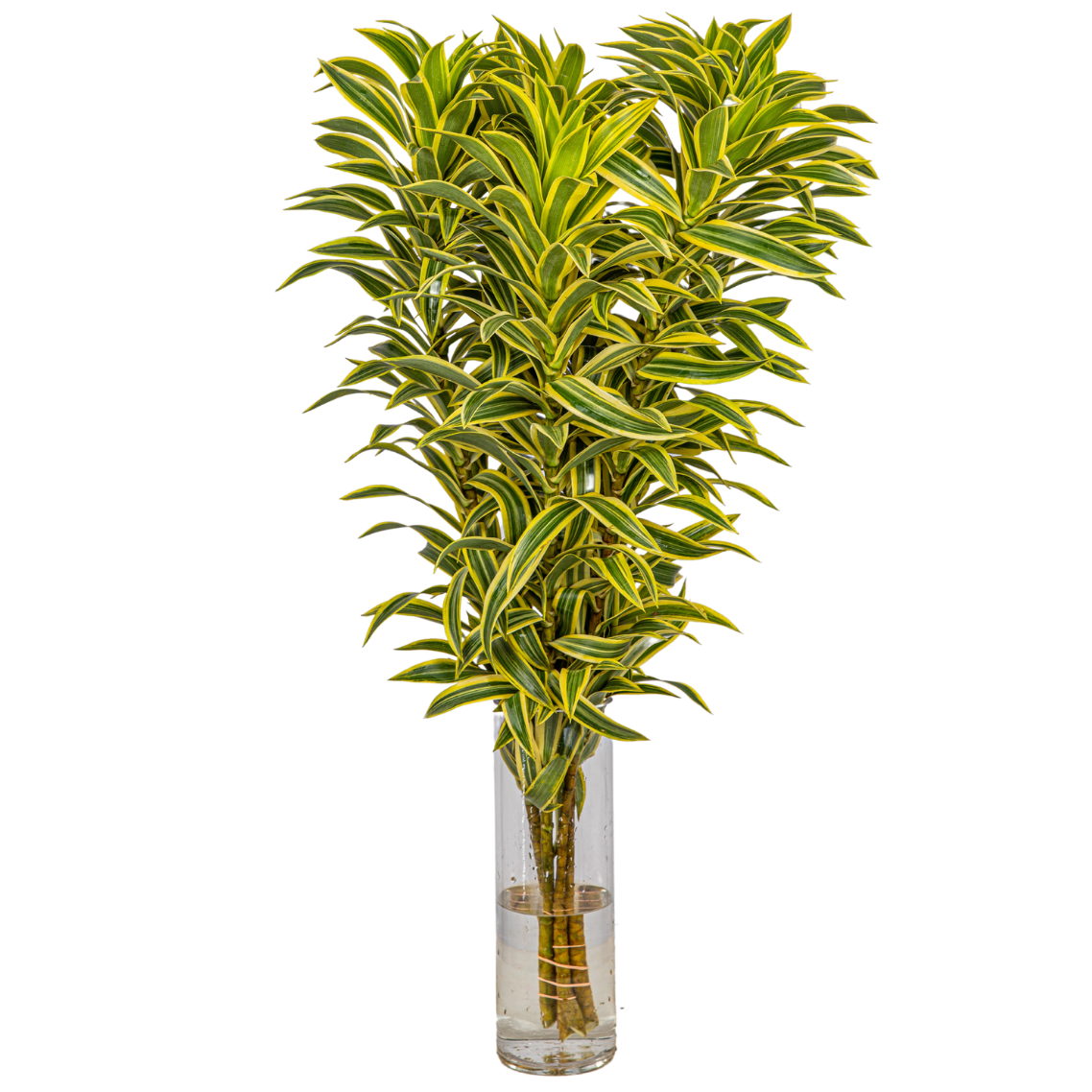 Yellow flower bouquet in basket on table.