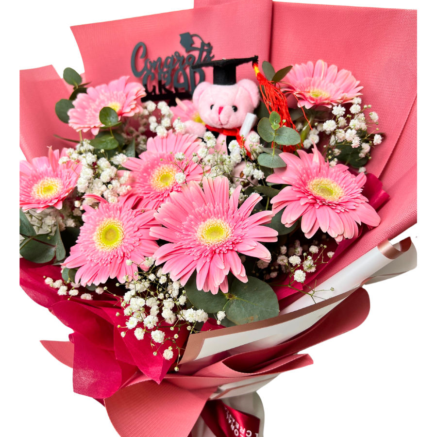 Sparkling Scholar (8 Gerberas) - Flower Bouquet