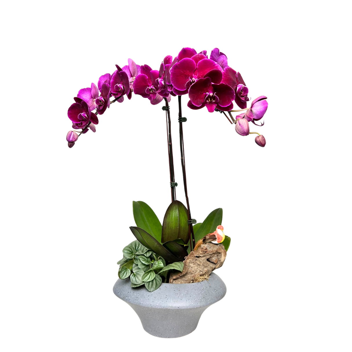 Pink and purple flowerpot with houseplant.
