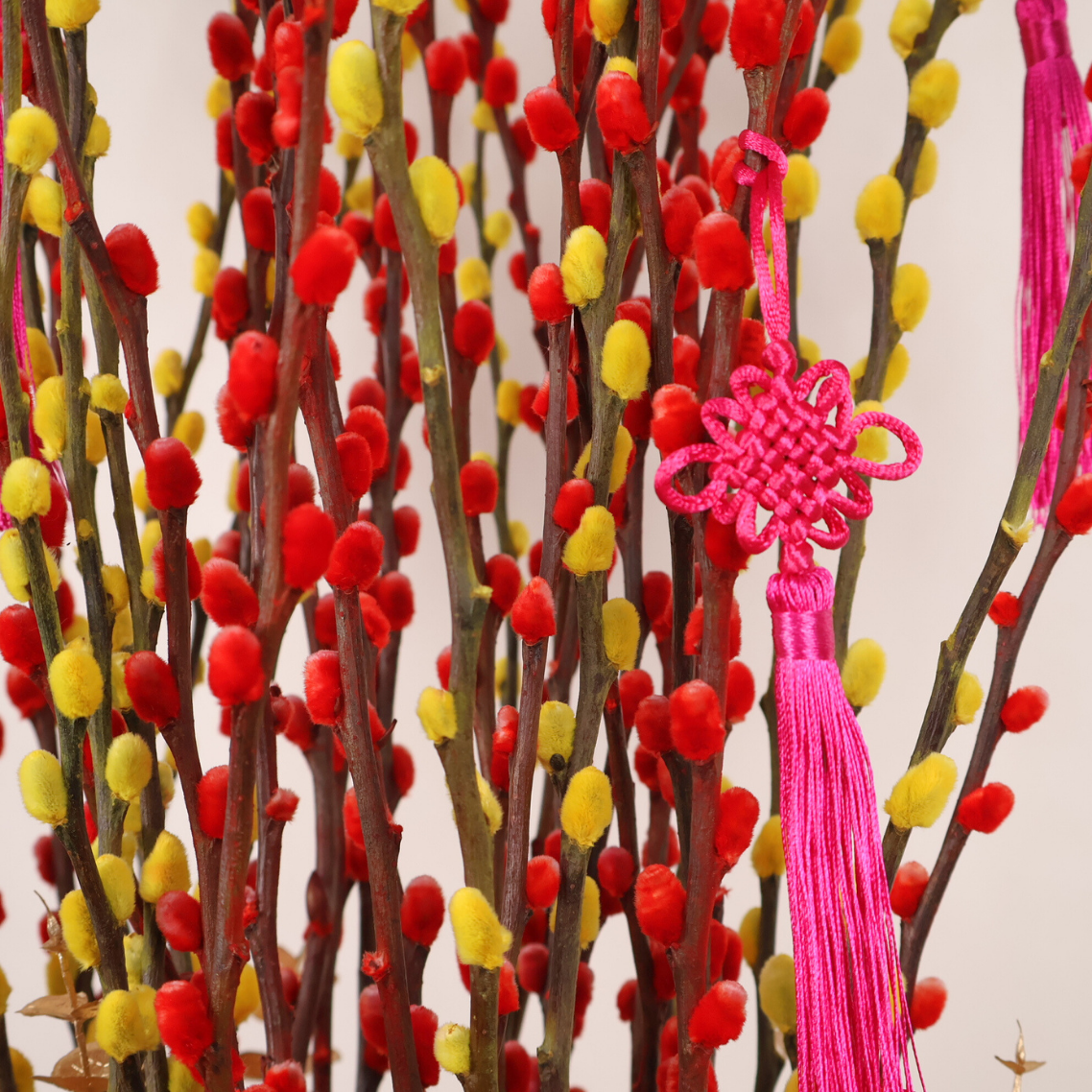 Success Blessings (38 Stalks) - Pussy Willow