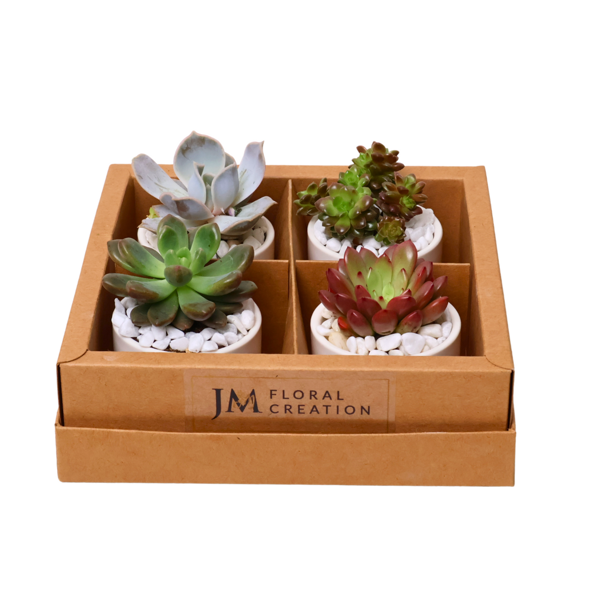 Mini Succulent Gift (Set of 4)