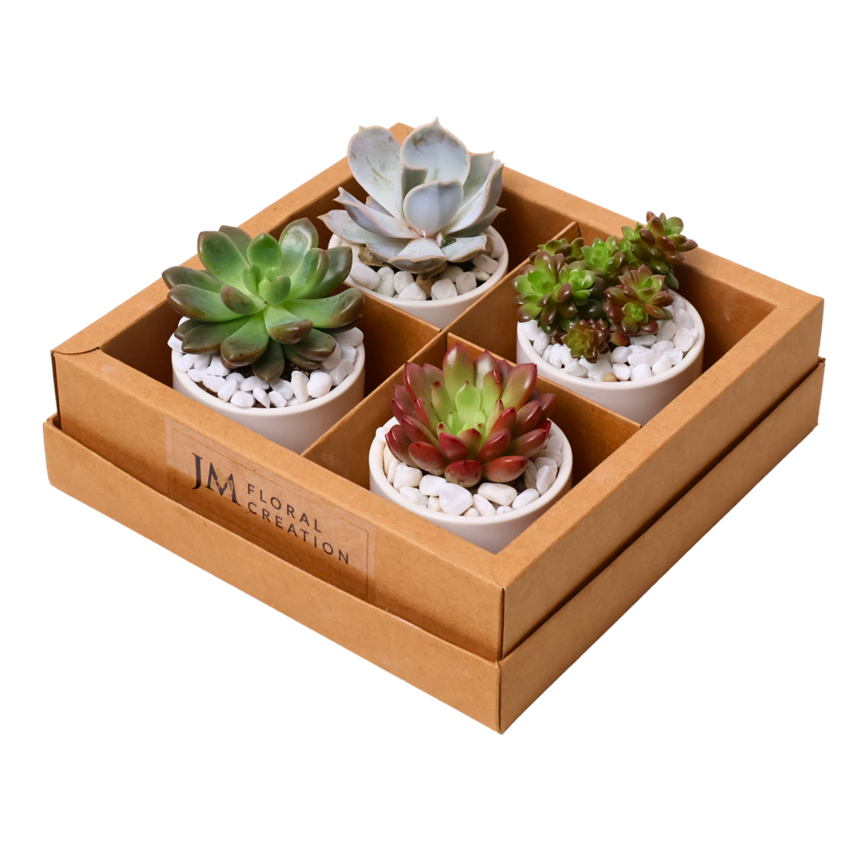 Mini Succulent Gift (Set of 4)