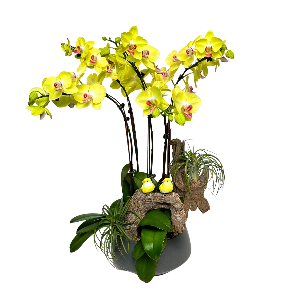 Yellow flower bouquet with houseplant.