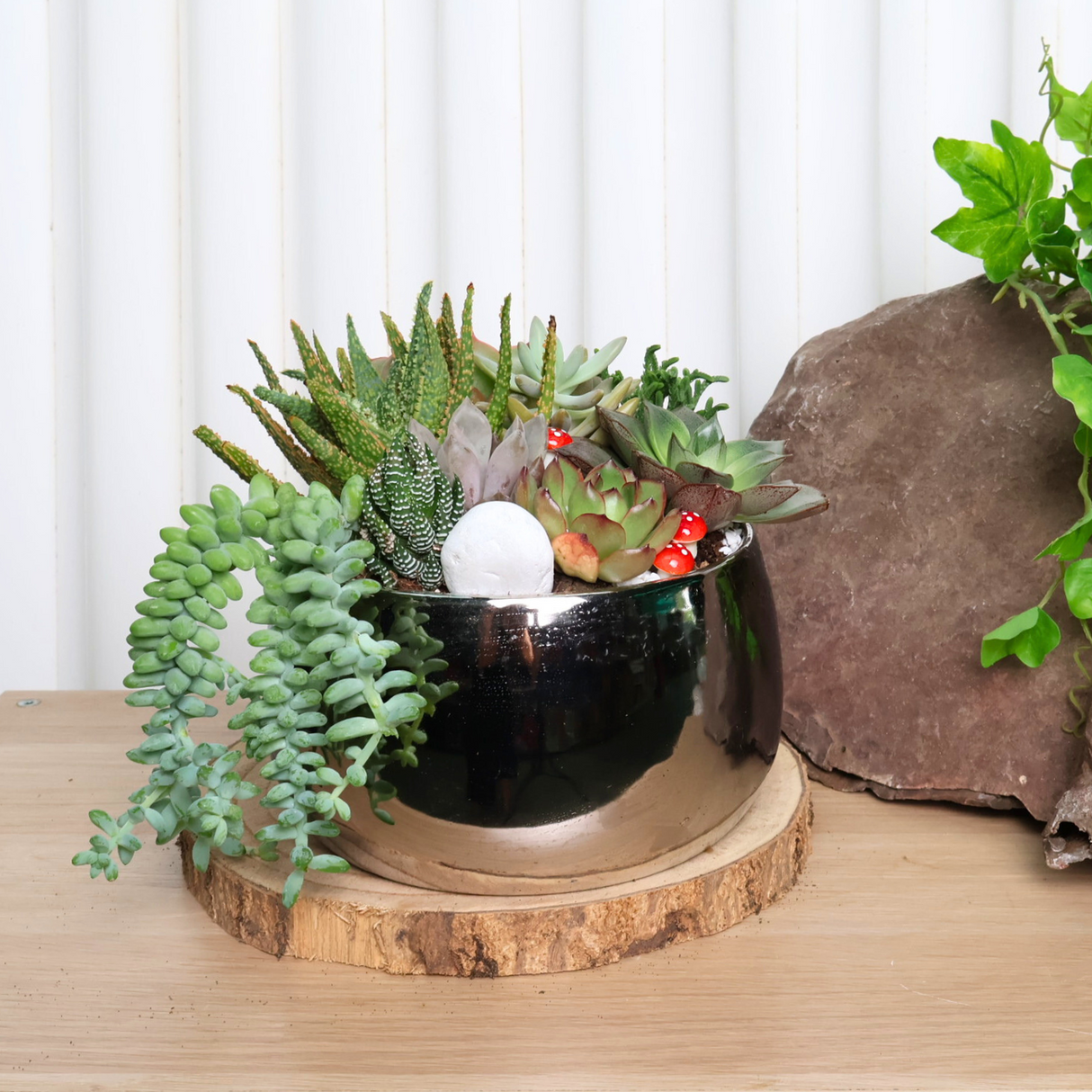 Assorted houseplants and cut flowers in floral arrangement.