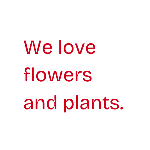 Assorted flowers including tulips, lilies, and geraniums.