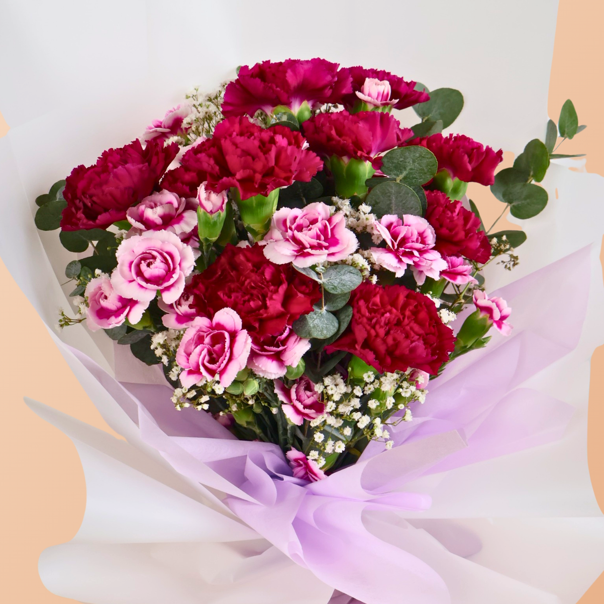 Warm Hugs (10 Carnations)