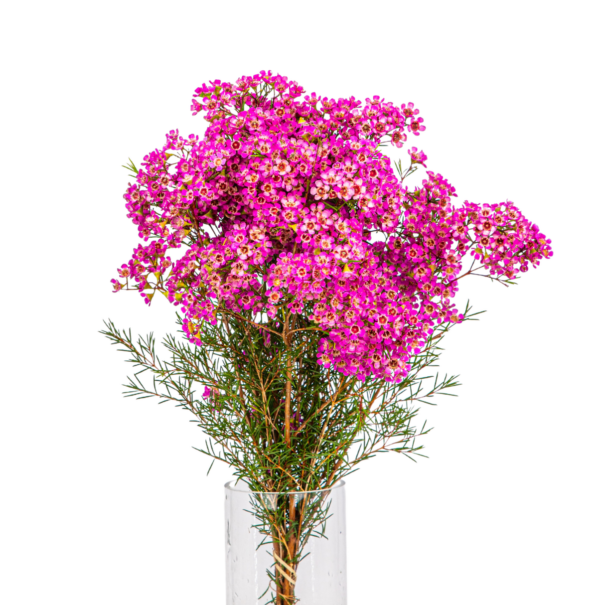 Pink and purple flower bouquet in vase.