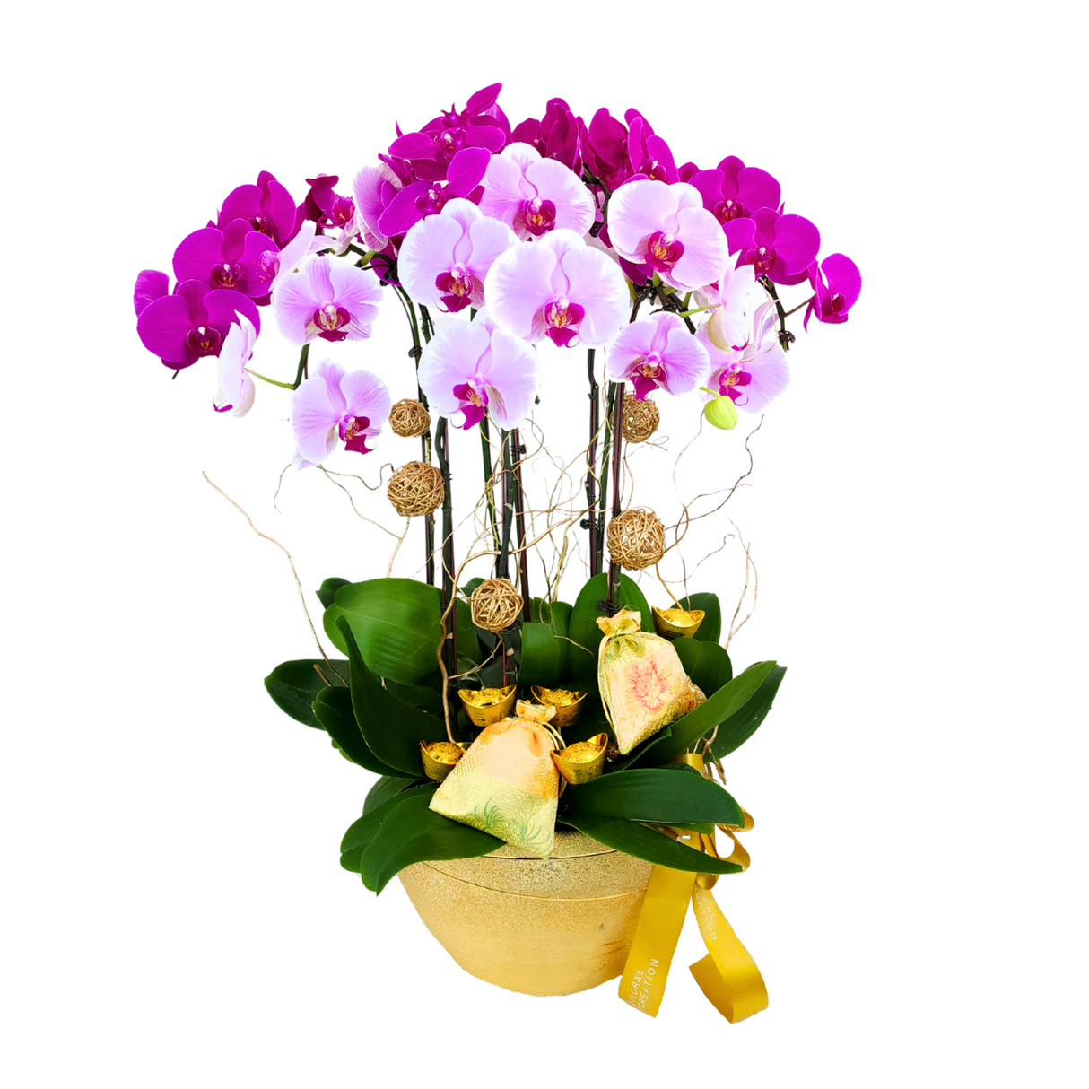 Wealth Blessings (8 Single Stalks) - Orchid Phalaenopsis