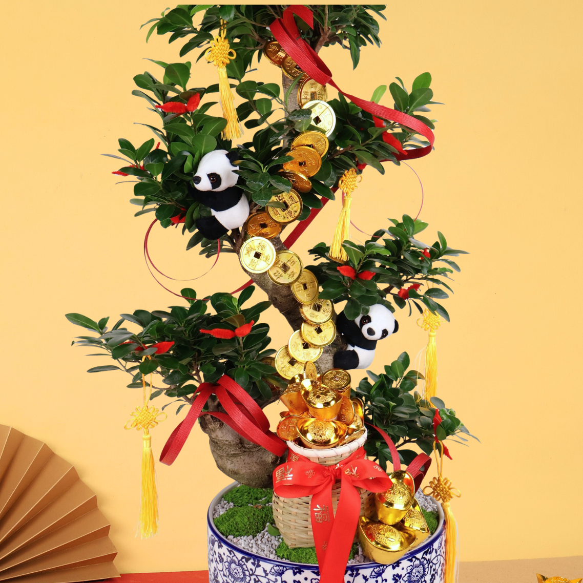 Wealth Honor (Bonsai) - CNY Plant