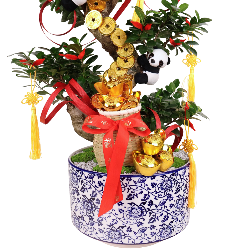 Wealth Honor (Bonsai) - CNY Plant