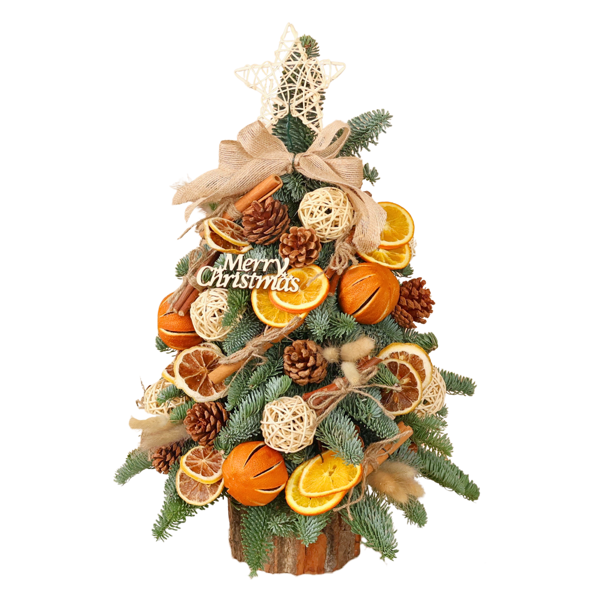Wildwood Noel - Fresh Mini Christmas Tree