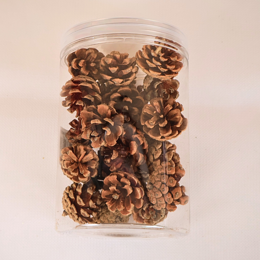 Mini Pinecone Bottle - 4cm (24pcs)