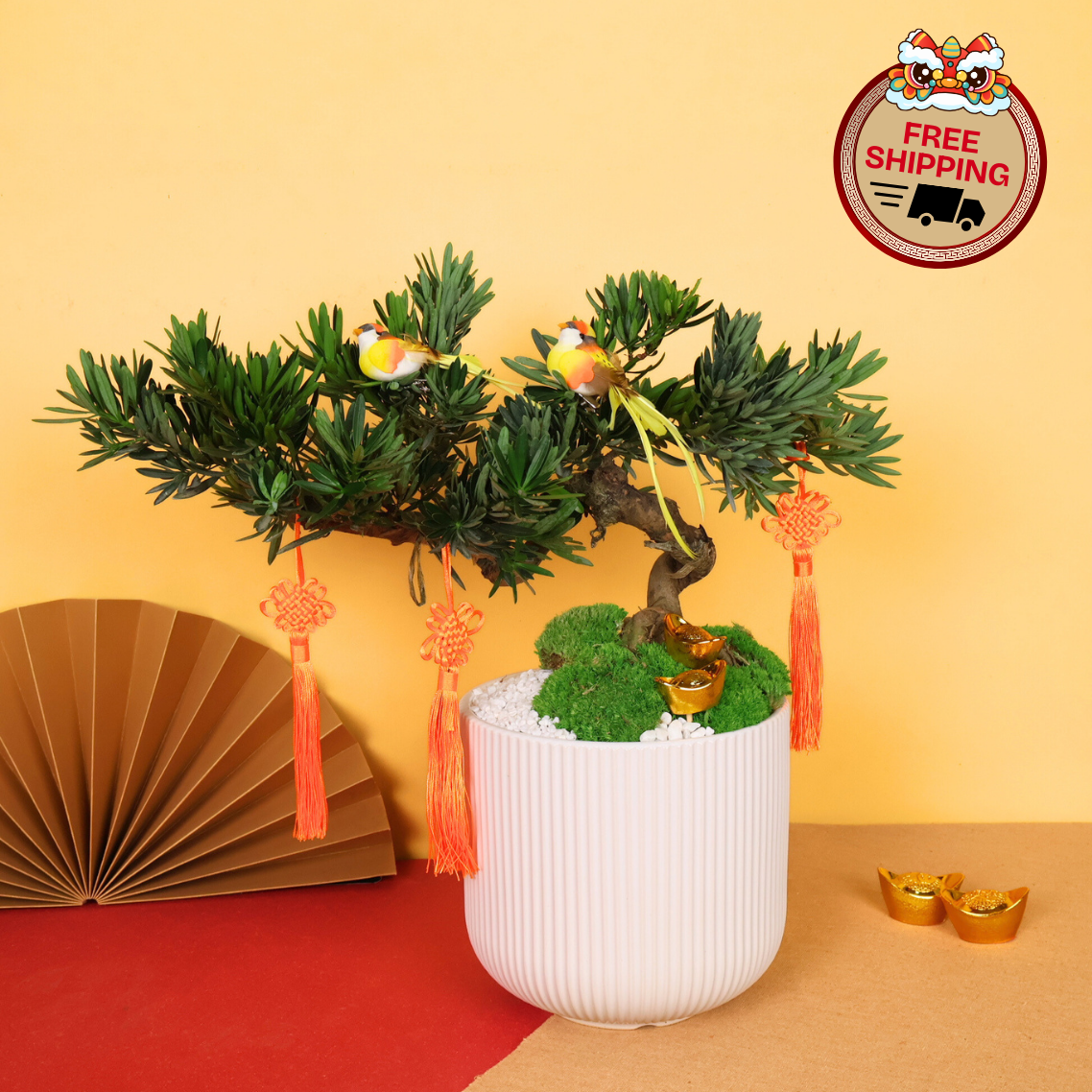 Zen Fortune (Bonsai) - CNY Plant