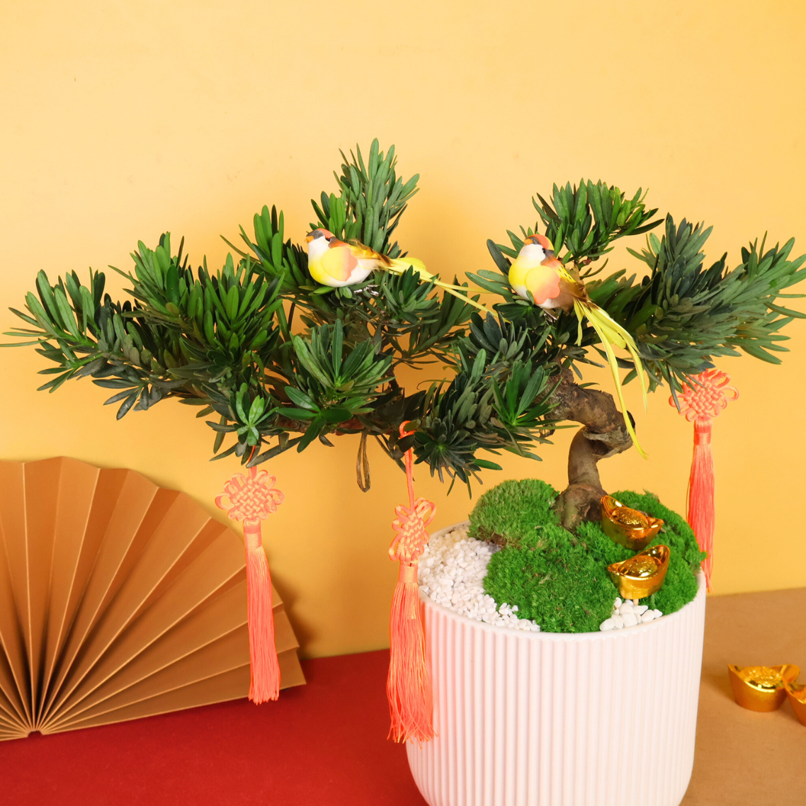 Zen Fortune (Bonsai) - CNY Plant