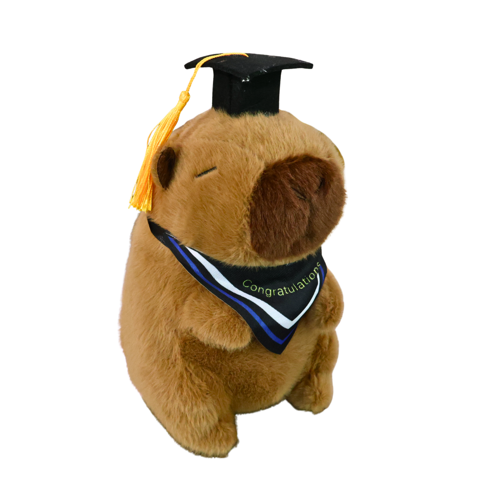 Capybara Graduation Bear