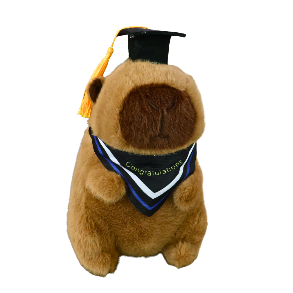 Capybara Graduation Bear