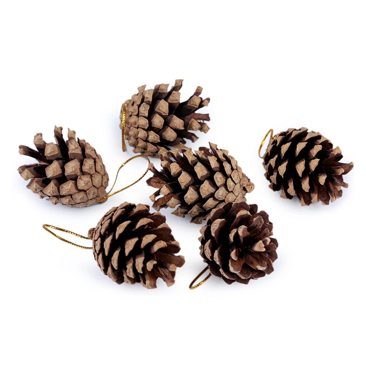 Pinecone Packet (6pcs)