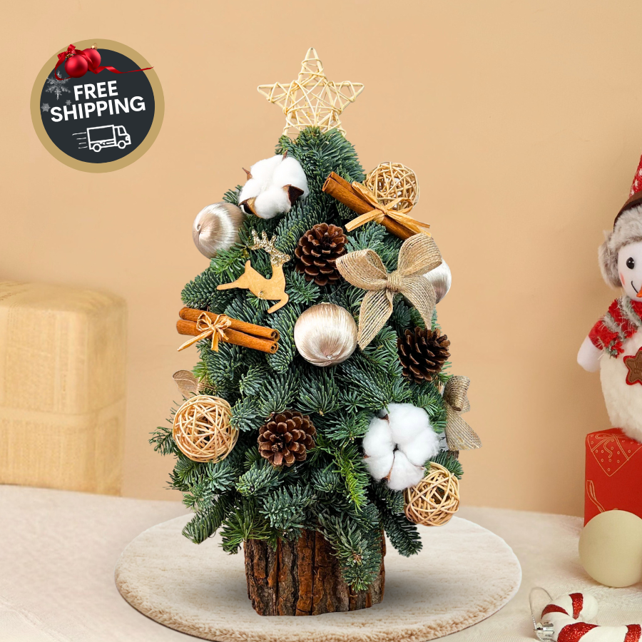 Barnwood Beauty - Fresh Mini Christmas Tree