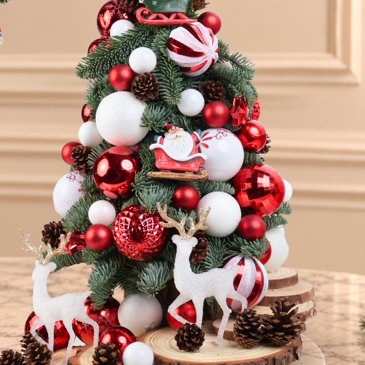 Winter Magic - Fresh Mini Christmas Tree