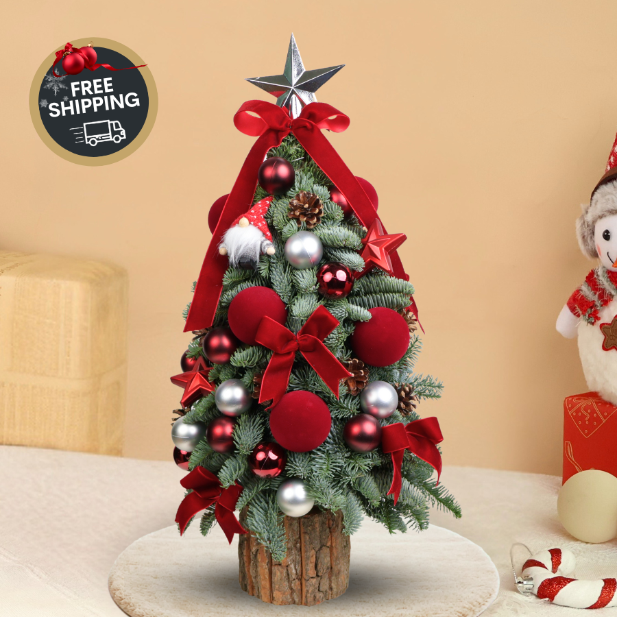 Rosy Noel - Fresh Mini Christmas Tree
