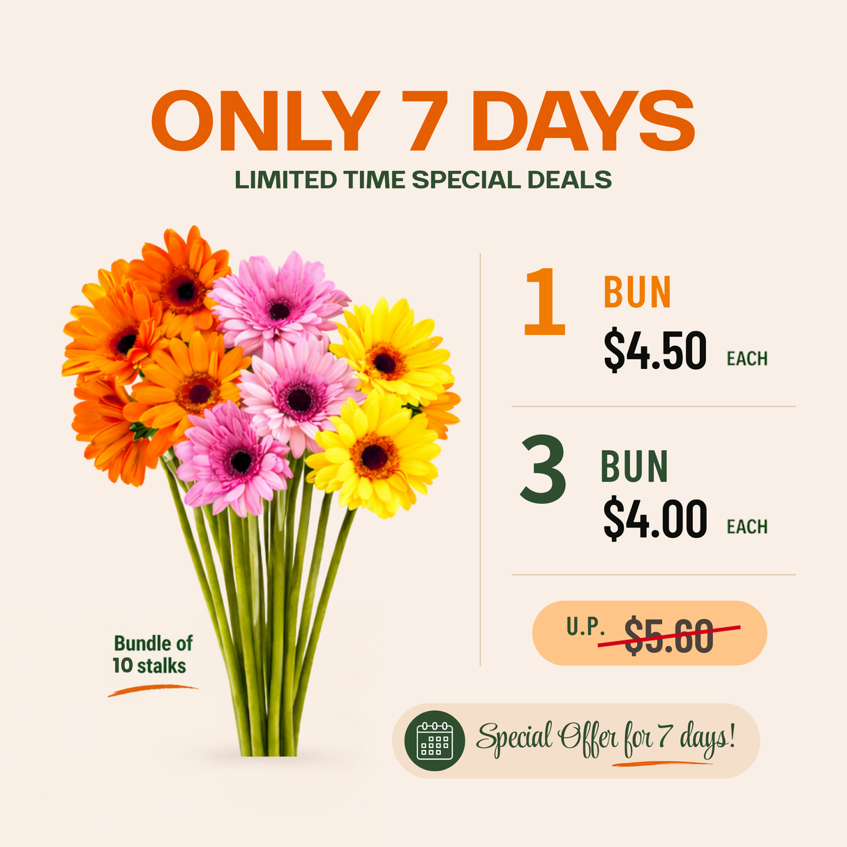 Gerbera (Malaysia) *Promotion*