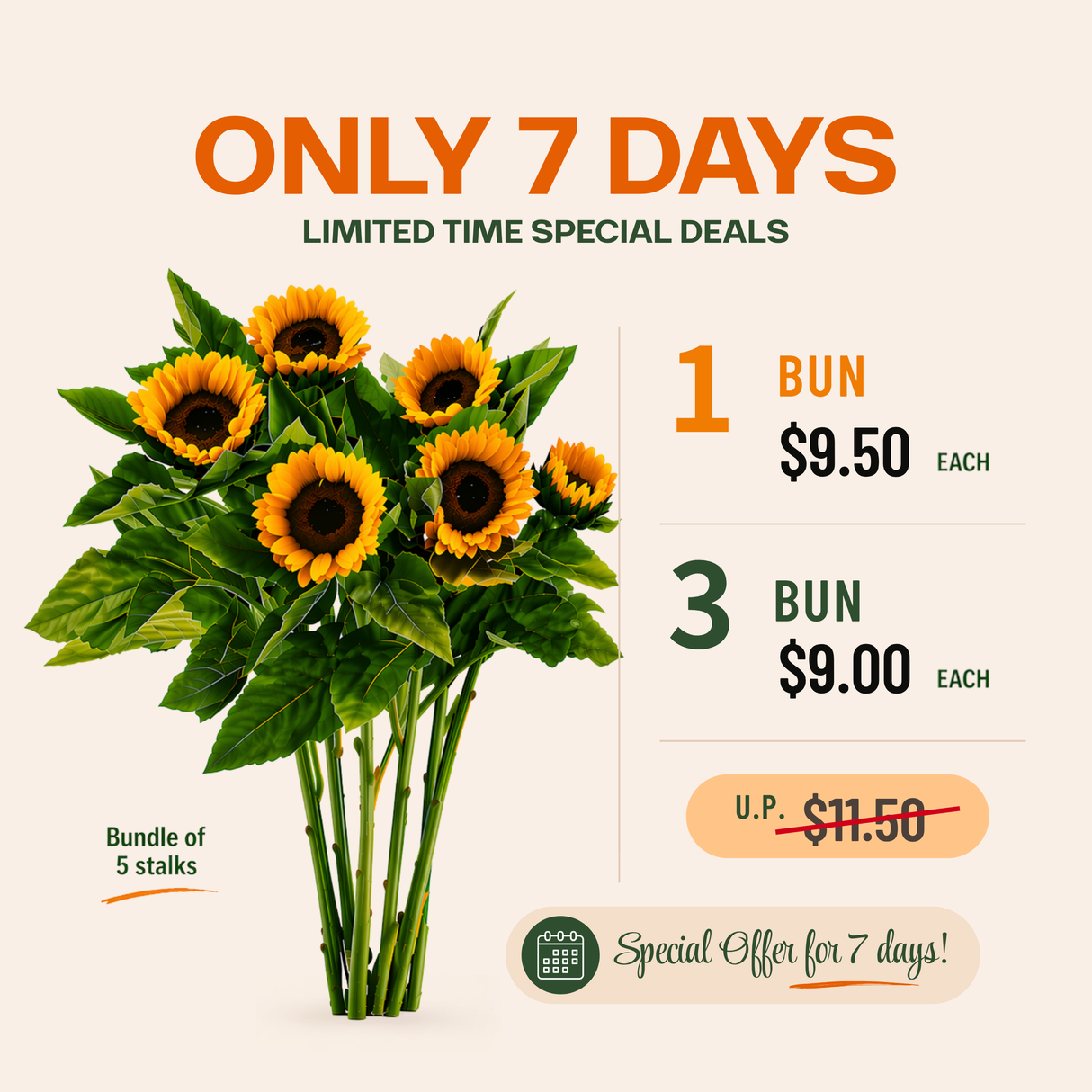 Sunflower (Malaysia) *Promotion*