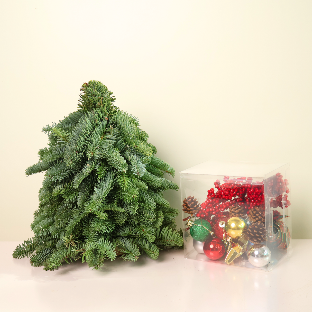 DIY Kit (Classic) - Fresh Mini Christmas Tree