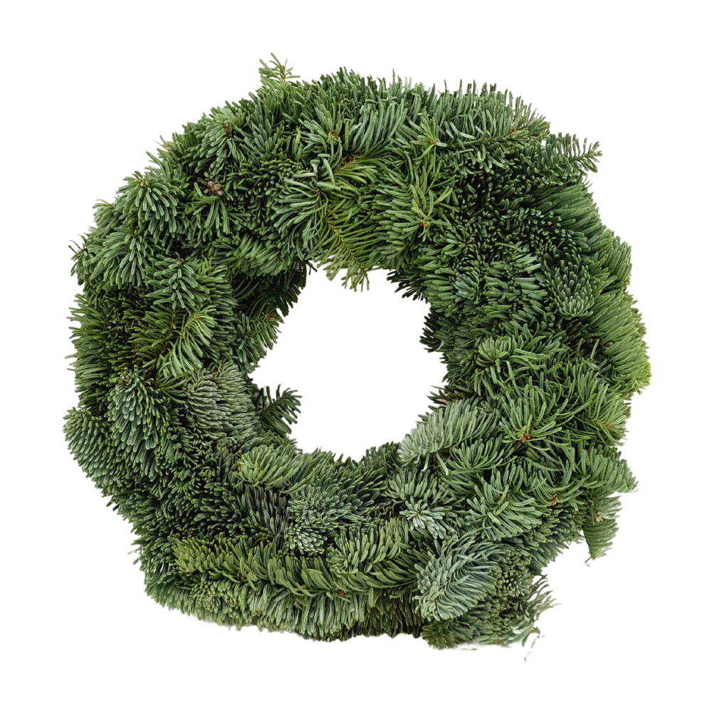 Christmas Wreath (Holland)