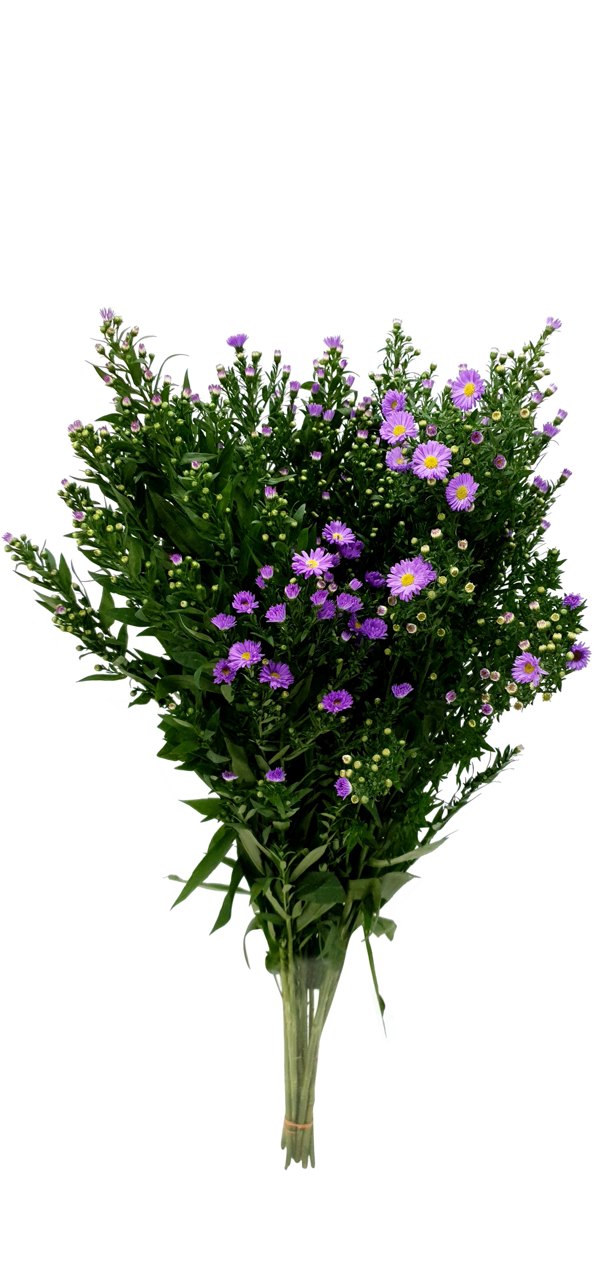 Pink and purple flower bouquet.