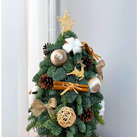 Barnwood Beauty - Fresh Mini Christmas Tree