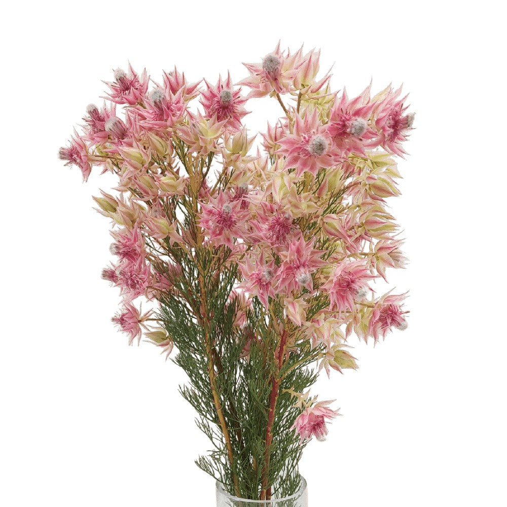 Pink geranium flower bouquet with cut flowers.