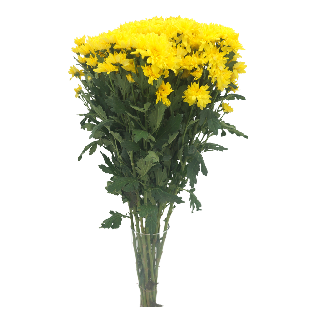 Yellow flower bouquet with artificial tanacetum and goldenrod.