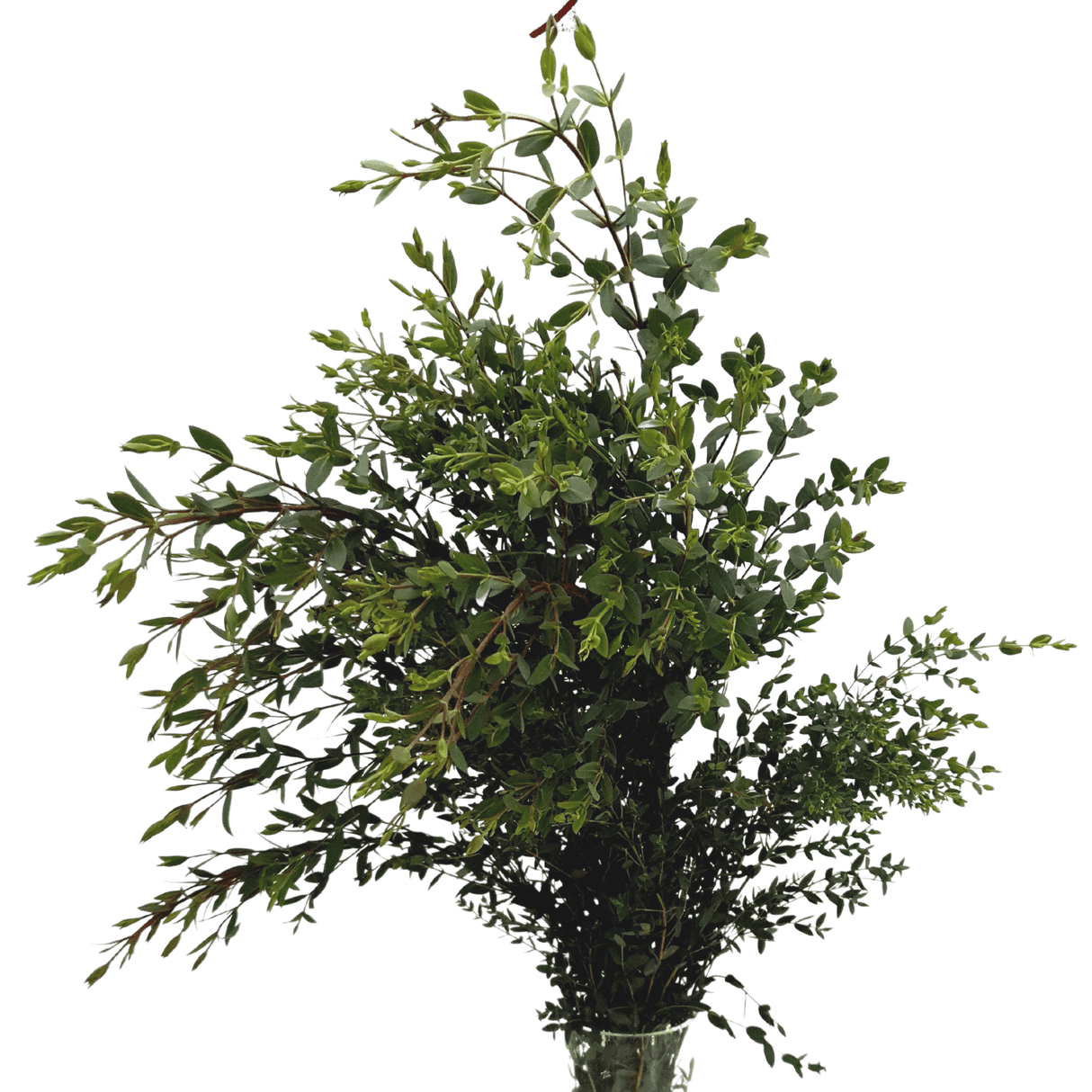 Kinfolk flower bouquet in packaging box