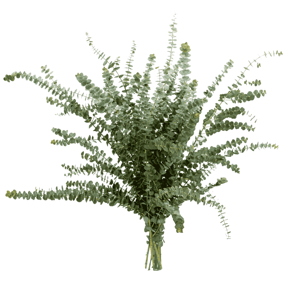 Blue and pink flower bouquet by JM Floral Creation.