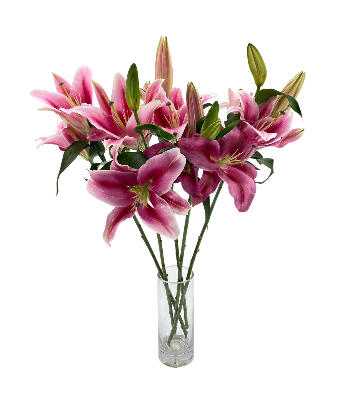 Lily Robina 4 Head (China)