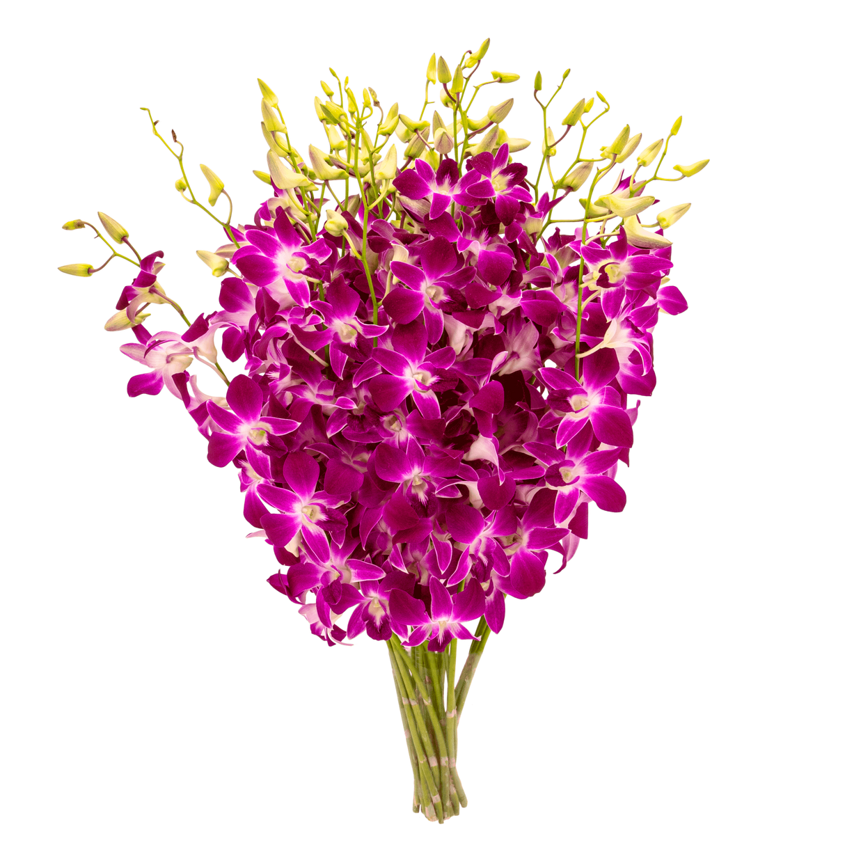Pink and purple artificial flower bouquet.
