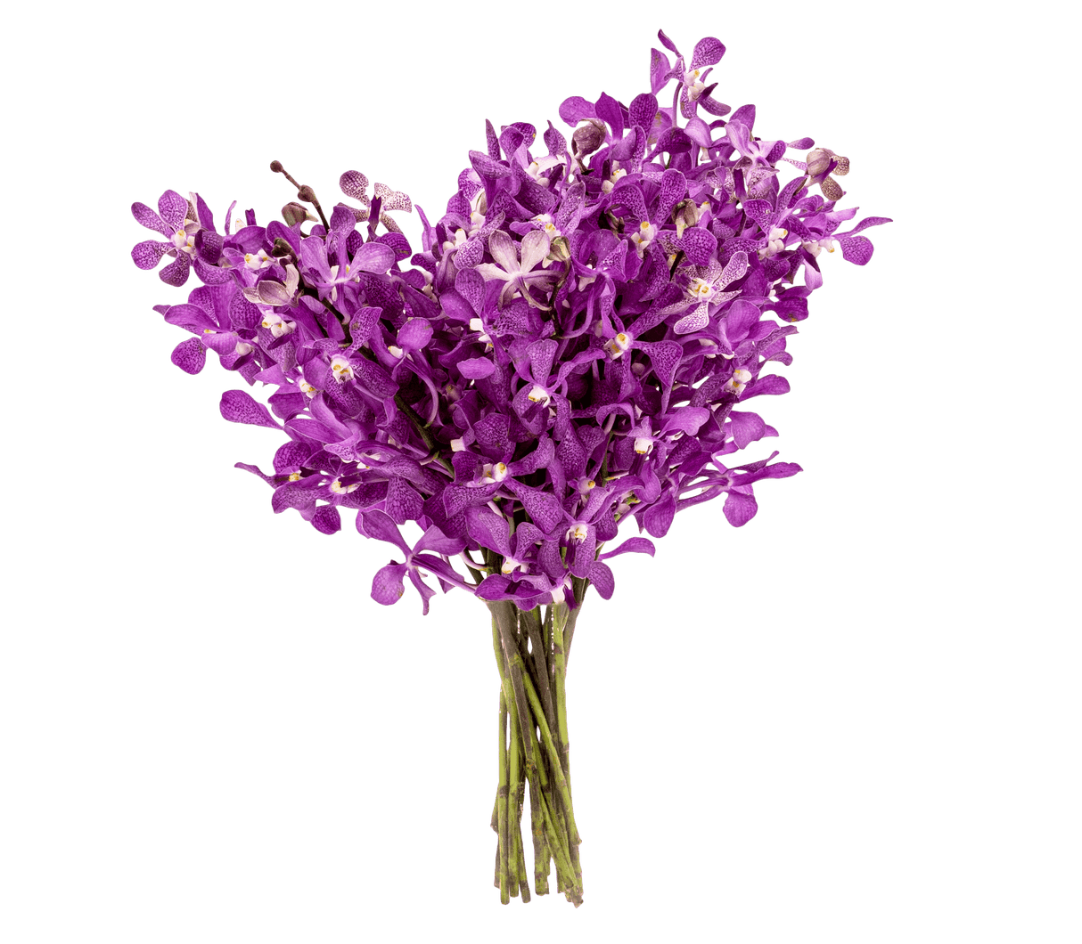 Pink and purple artificial flower bouquet.