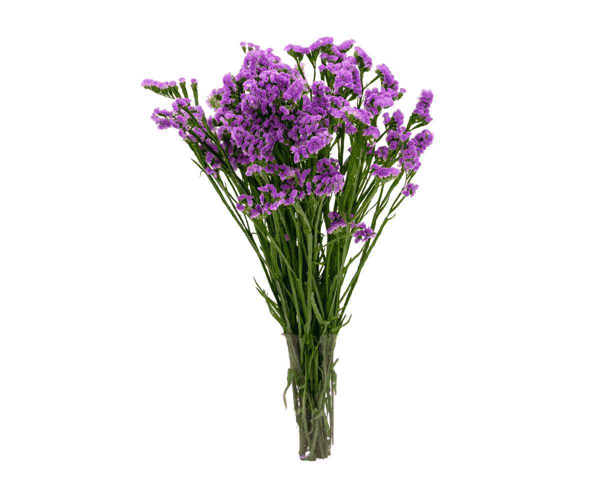 Purple flower bouquet in vase.